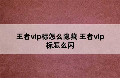 王者vip标怎么隐藏 王者vip标怎么闪